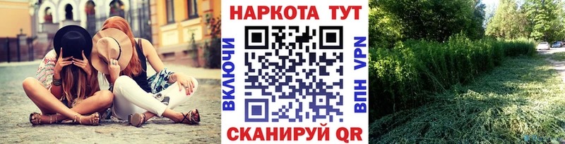 Где купить наркотики Курган СК Меф мяу мяу COCAIN ГАШ Каннабис