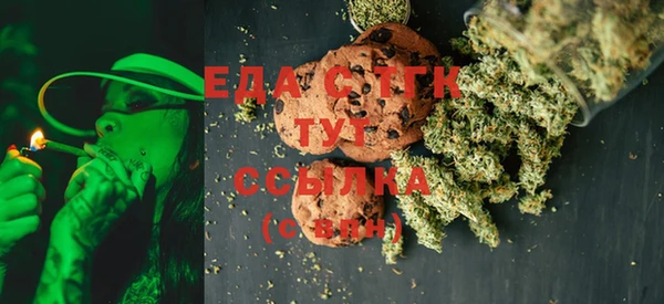 ECSTASY Алзамай