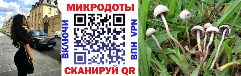 Псилоцибиновые грибы прущие грибы Курган
